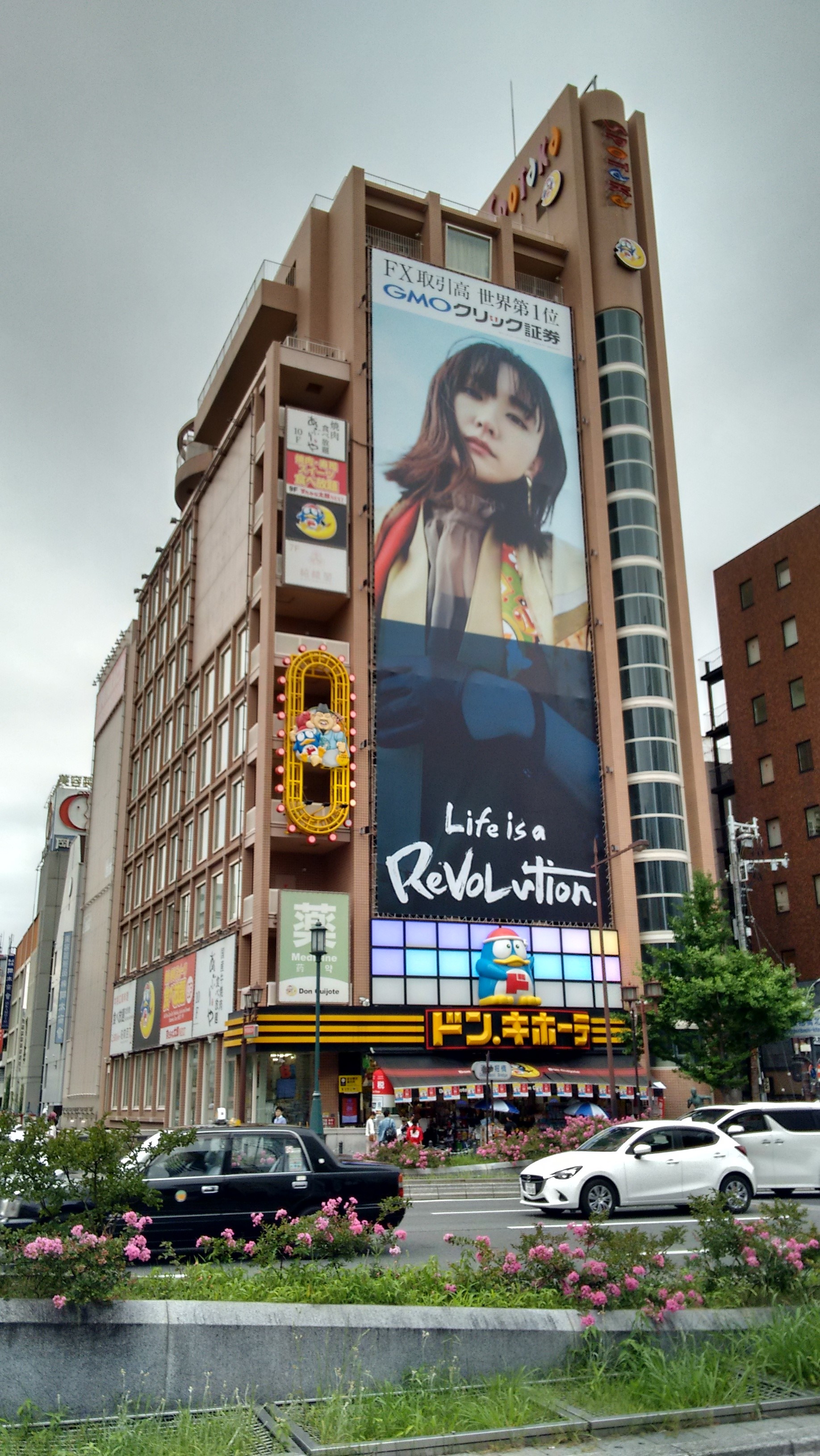 LIFE IS A REVOLUTION